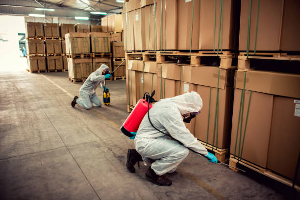 Best Pest Inspection Near Me  in Brownfields, LA