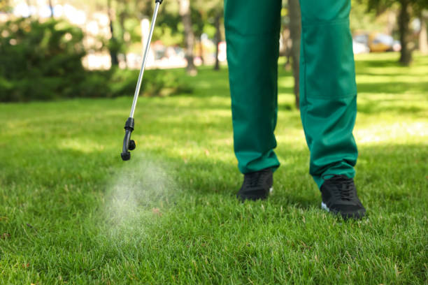 Best Local Pest Control Services  in Brownfields, LA