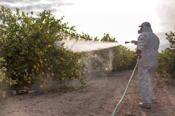 Best Pest Control Near Me in Brownfields, LA