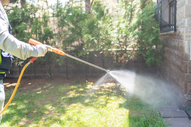 Best Bird Control  in Brownfields, LA